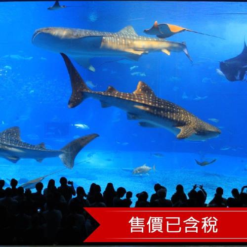 寒假~今歸仁城櫻花季｜美麗海水族館.玉泉洞.美國村.識名園四日(含稅)單人券2023OKAU02