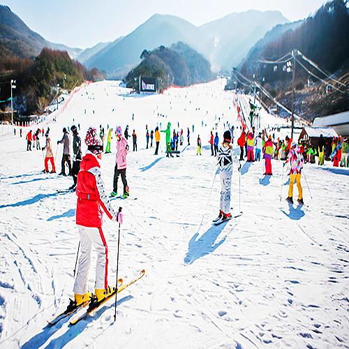 釜山冰雪樂~雙天空步道、滑雪、積木村、The bay 101 海濱夜景、彩虹膠囊海岸列車五日