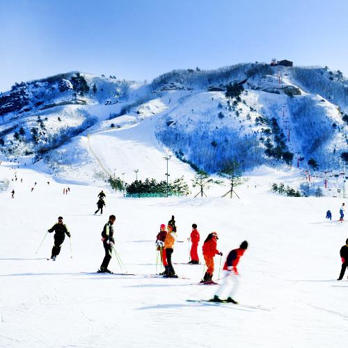 釜山滑雪去~伊甸園滑雪伽倻主題公園塗鴉秀海岸列車五日