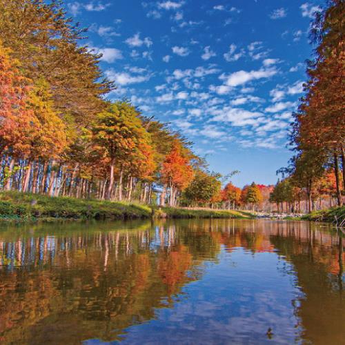 春節 - 嘉南平原布袋海上巴士百年公園二日單人券