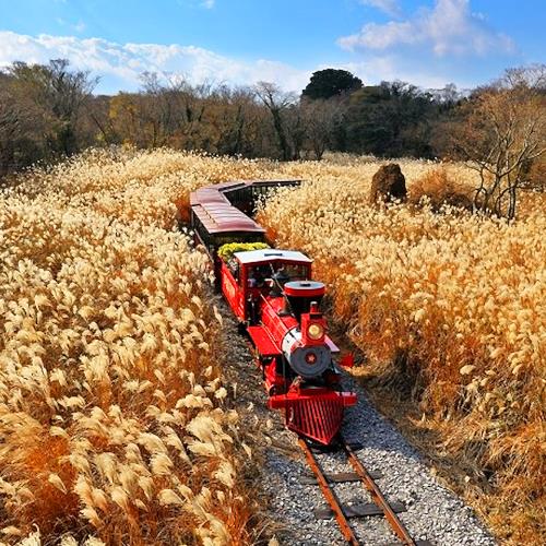 濟州藍調時光五日★ARTE MUSEUM、史奴比庭園、英式小火車、海陸雙拼美食饗宴