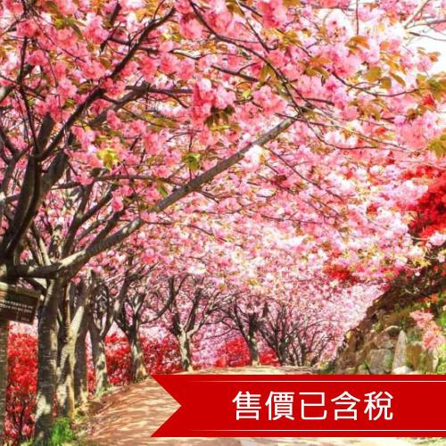 連假~春風舞韓櫻_櫻花隧道.穿韓服遊韓屋村.神祕石塔群.弘大_明洞購物樂五日(含稅)【旅天下】23JKAPRTR1