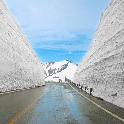 紫藤東京立山黑部雪壁合掌村雙溫泉六日(長榮東京)松山出發