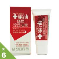 【十靈本舖】十靈油一條根涼透油膏(舒緩凝膠60g)6入