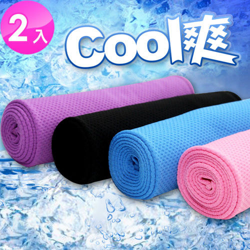 iCoolTowel 降溫機能運動冰涼巾 (超值2入)