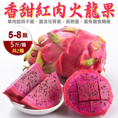果物樂園-台灣紅肉火龍果2箱(5-8入_約5斤/箱)