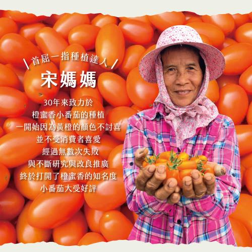 【初品果】美濃宋媽媽橙蜜香小番茄3斤x9盒_好友揪團_公司團購