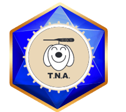 T.N.A.