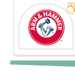 ARM&HAMMER 鐵鎚牌